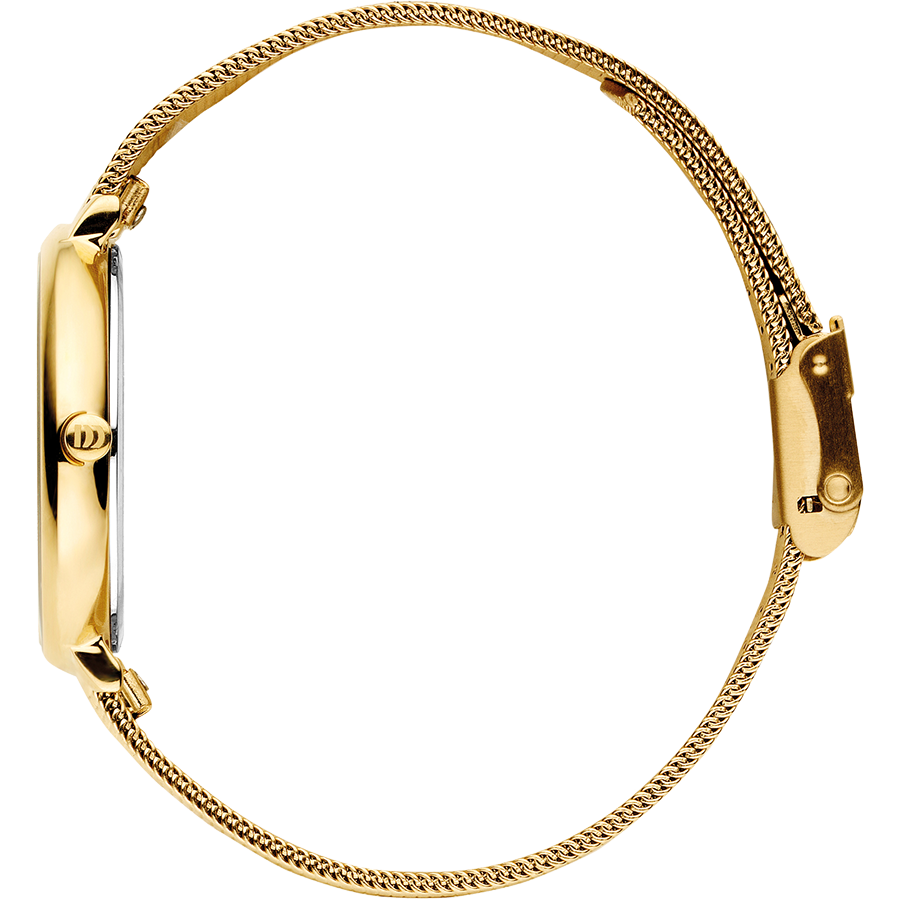 Amelia Gold Grey Bark Women's Watch