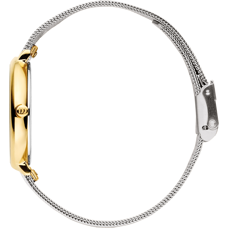 Amelia Two-Tone Silver Bark Women's Watch