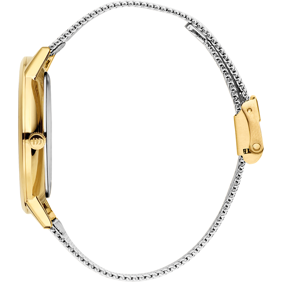 Akilia Medium Two-Tone Mesh Women's Watch