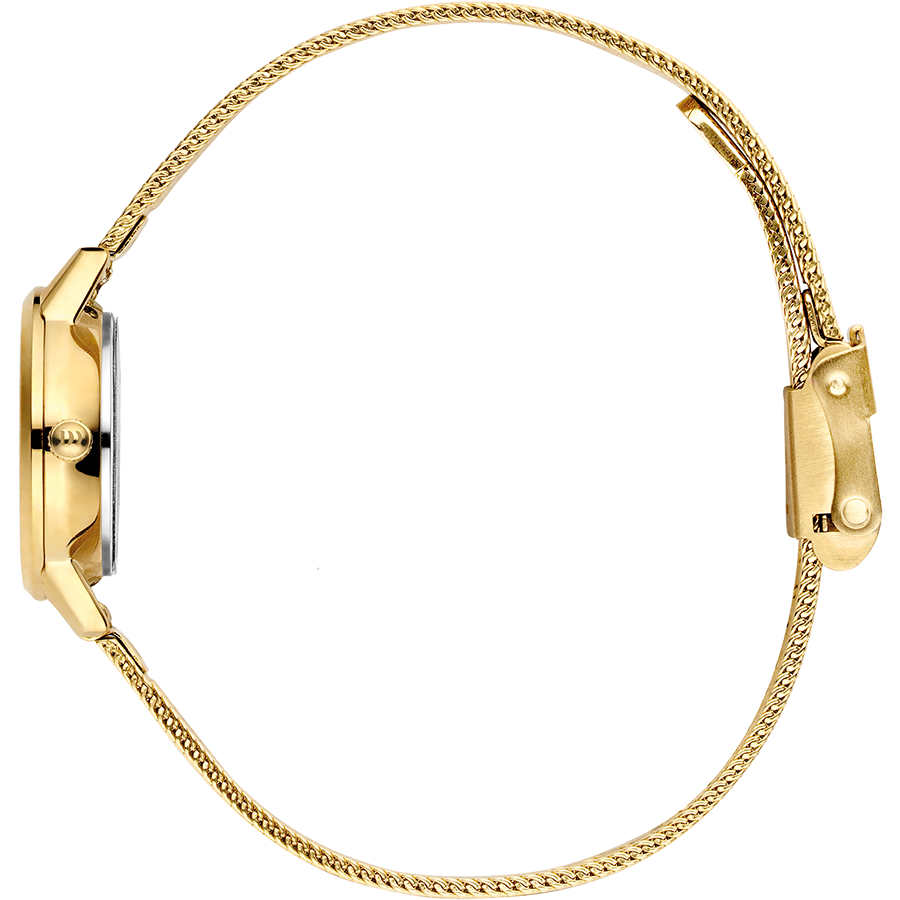 Akilia Mini Gold Women's Watch